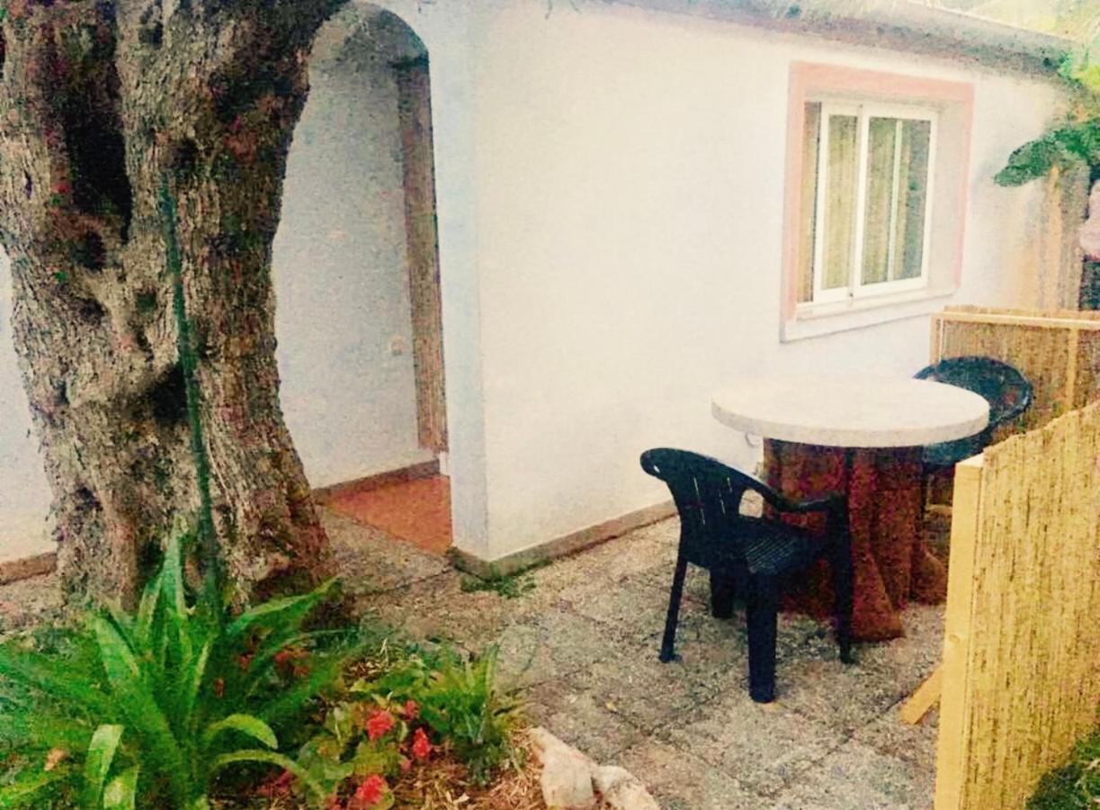 Olive Tree Apartments Ровинь Экстерьер фото